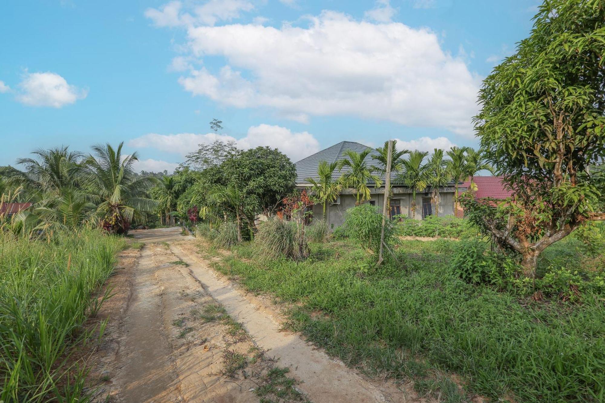 Oyo 92587 Homestay Romauli Kampung Radja Jambi Exterior photo