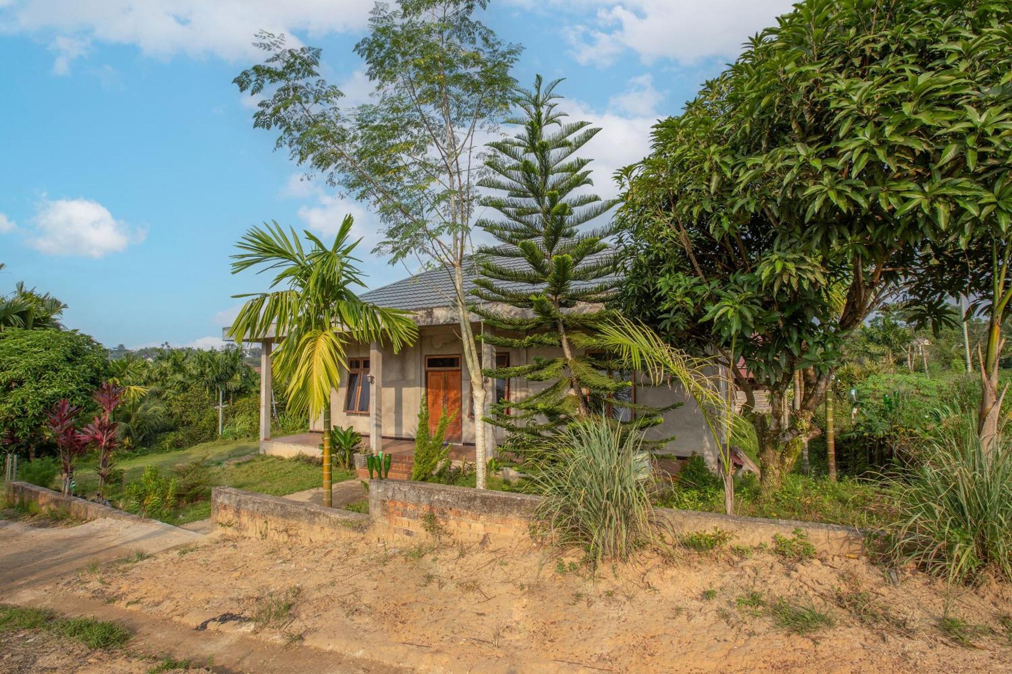 Oyo 92587 Homestay Romauli Kampung Radja Jambi Exterior photo